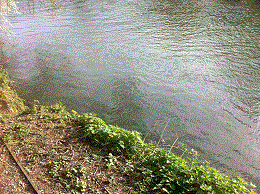 Peg 37 Pictures